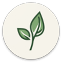 LeviLauncher启动器logo图