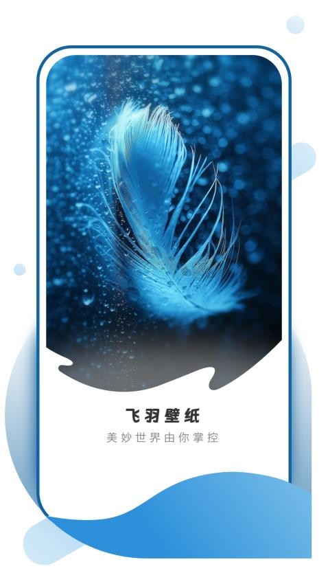 飞羽壁纸