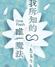 我所知的唯一魔法——愚者与爱