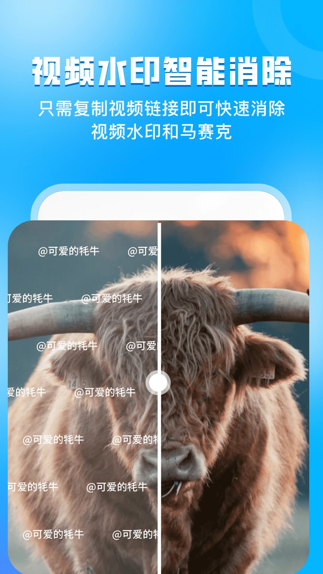 指尖虚拟摄像头