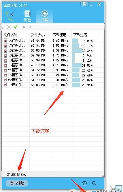 雷鸟网盘下载工具