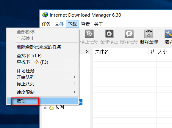 Internet Download Manager简体中文版