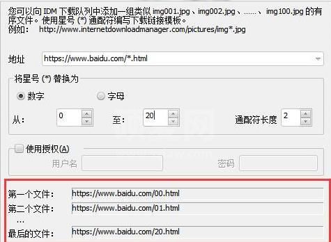 Internet Download Manager简体中文版