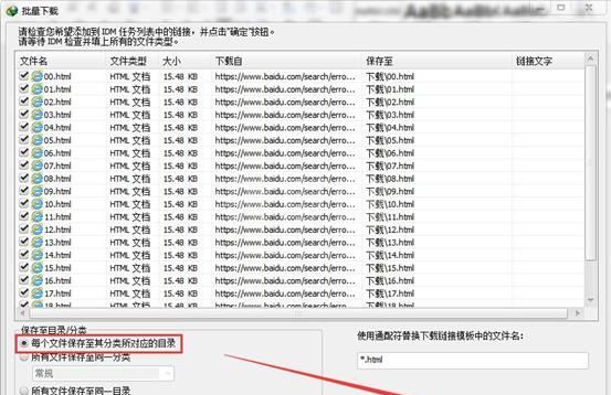 Internet Download Manager简体中文版