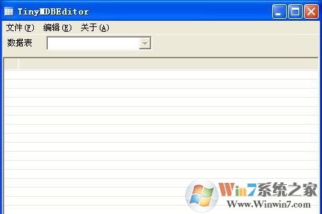 MDB编辑器_TinyMDBEditor v1.2绿色汉化版