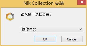 Nik Collection中文版