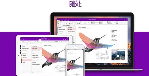 OneNote办公软件