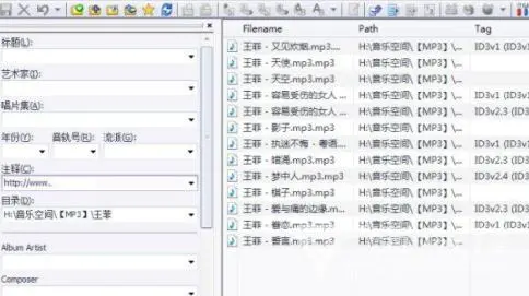 Mp3tag中文版音乐标签编辑器