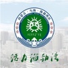 云上海勃湾logo图