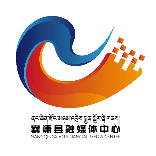 大美囊谦logo图