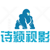 诗颖视影logo图