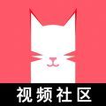 猫咪app视频logo图