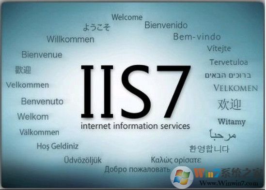 iis7.0完整安装包原版软件logo图