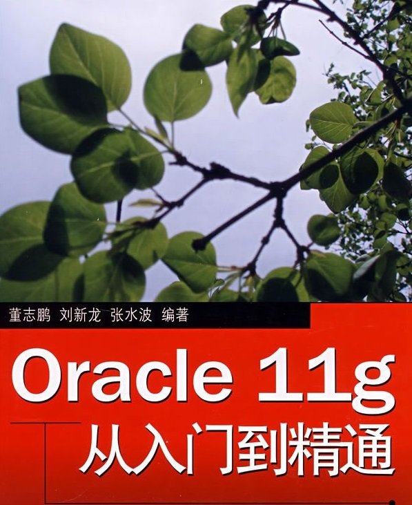 Oracle11g教程_Oracle11g从入门到精通PDF高清电子版软件logo图