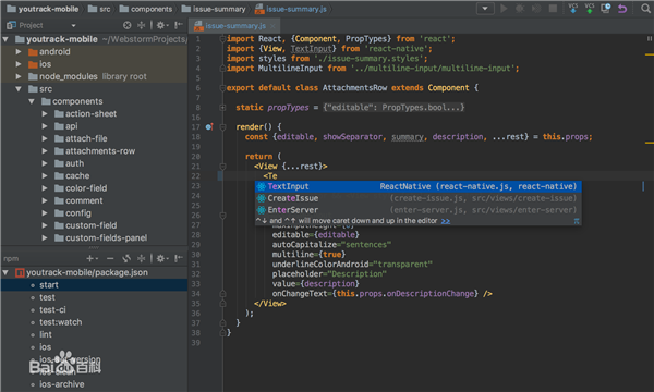 WebStorm(Web前端开发工具)软件logo图