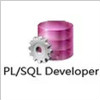 PL/SQL Developer 32/64位(附安装教程)软件logo图