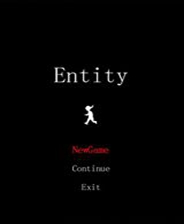 Entity