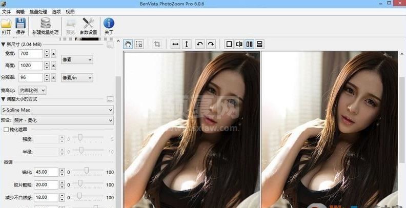 PhotoZoom破解版下载|PhotoZoom Pro中文破解版8.2无限制免费版