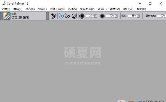 Corel Painter中文版_Corel Painter v12.2中文破解版（已注册）