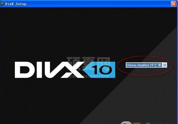 Divx解码器下载_DivX Player v10.2高清视频解码器(多国语言版)