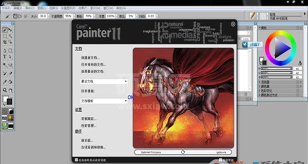 Painter中文版_Corel Painter 11简体中文版