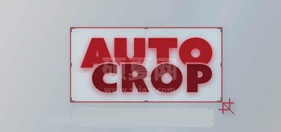 Auto Crop插件下载(AE合成区域自动裁剪插件) v3.1.1官方版