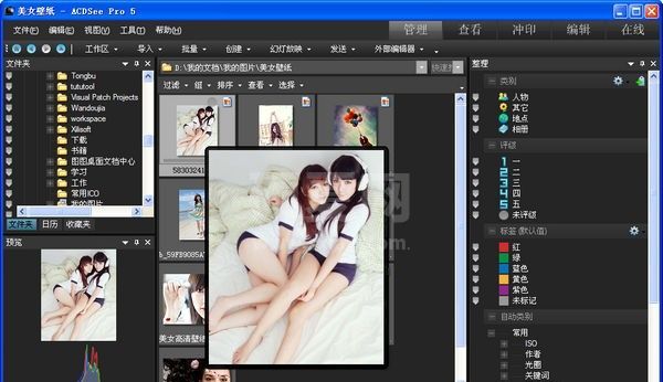 ACDSee绿色版_ACDSee Pro5绿色破解版(老牌看图软件)