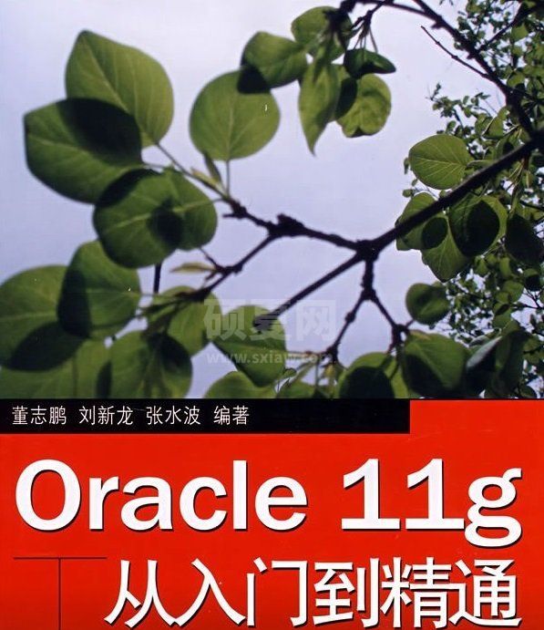 Oracle11g教程_Oracle11g从入门到精通PDF高清电子版