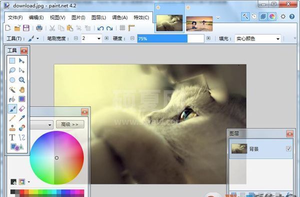 Paint.NET照片处理软件下载|Paint.NET V4.2.16官方中文版