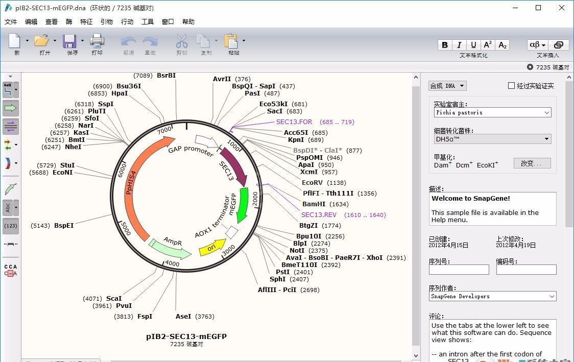 SnapGene