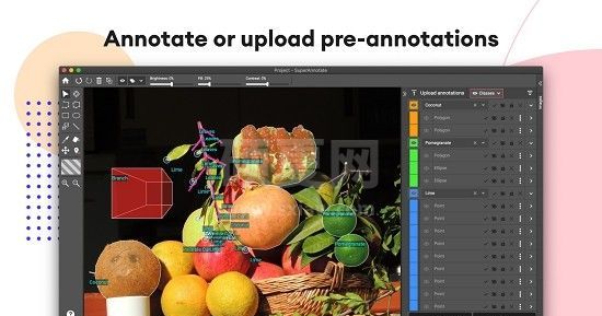 SuperAnnotate(AI图像注释平台)