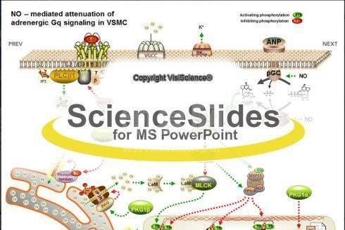 ScienceSlides(PPT制作插件)