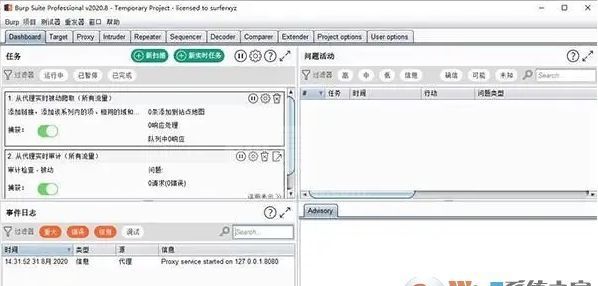 Burp Suite Professional(渗透测试软件)