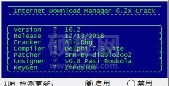 internet download manager补丁