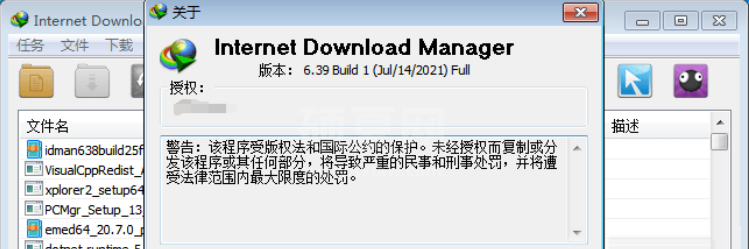 Internet Download Manager简体中文版