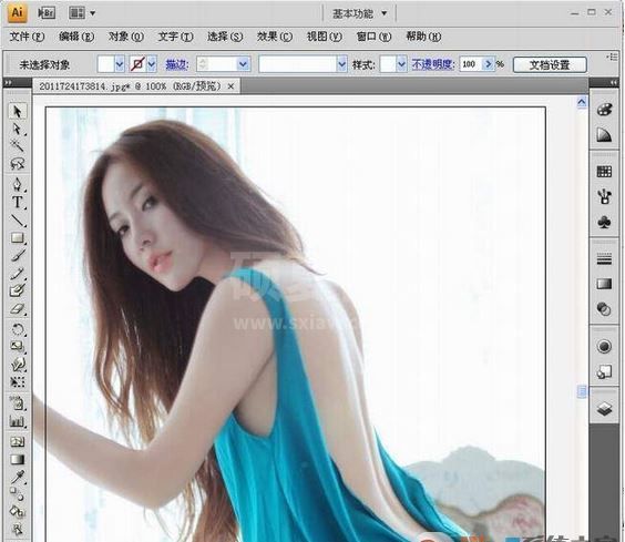 Adobe Illustrator CS5 简体中文绿色精简版