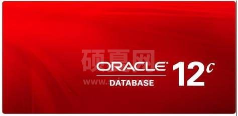 Oracle数据库|Oracle 12c下载64位官方版