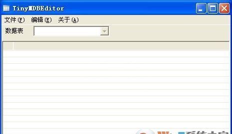 MDB编辑器_TinyMDBEditor v1.2绿色汉化版