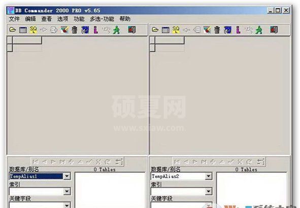 DBC2000下载_DBC2000中文汉化版(数据库工具)