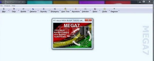 Mega下载_Mega进化树(分子进化遗传分析软件)绿色免费版