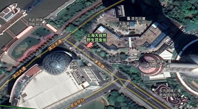 谷歌地图2023高清卫星地图