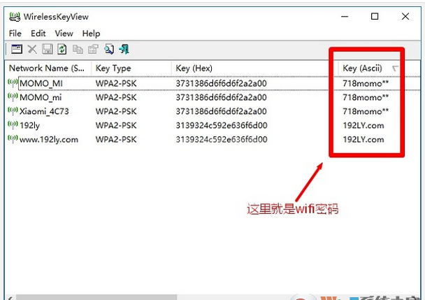 Wirelesskey View WIFI密码查看软件中文版